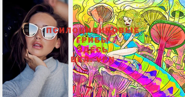 соль курить ск Дмитриев