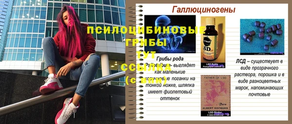 соль курить ск Дмитриев