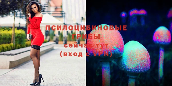 мдпв Дмитровск