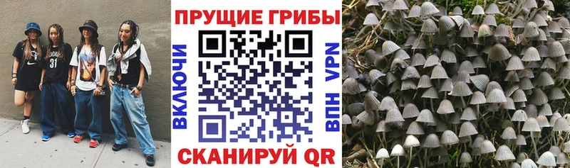 Галлюциногенные грибы Psilocybine cubensis  наркошоп  Азнакаево 